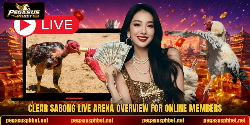 Clear sabong live arena overview for online members Clear sabong live arena overview for online members