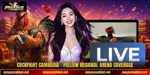 Cockfight Cambodia - Follow Regional Arena Coverage