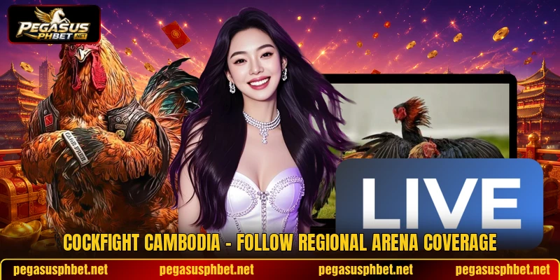 Cockfight Cambodia - Follow Regional Arena Coverage