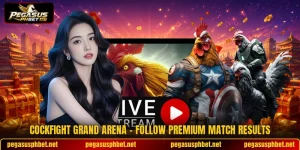 Cockfight Grand Arena - Follow Premium Match Results