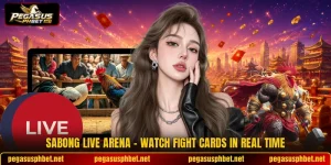 Sabong Live Arena - Watch Fight Cards In Real Time
